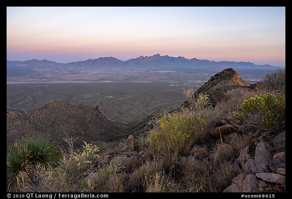 Desert vegetation on Dona Ana Peak and Organ Mountains at sunset. Organ Mountains Desert Peaks National Monument, New Mexico, USA (color)