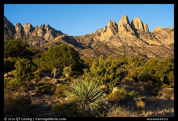 Rabbit Ears and the Needles from Aguirre Springs. Organ Mountains Desert Peaks National Monument, New Mexico, USA (color)