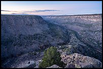 Convergence of Rio Grande and Red River from La Junta at dawn. Rio Grande Del Norte National Monument, New Mexico, USA ( color)