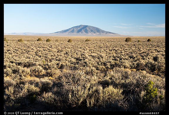 Sagebrush on Taos Plateau and Ute Mountain. Rio Grande Del Norte National Monument, New Mexico, USA (color)