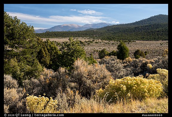 Sage, Juniper and Guadalupe Mountain. Rio Grande Del Norte National Monument, New Mexico, USA