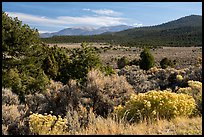 Sage, Juniper and Guadalupe Mountain. Rio Grande Del Norte National Monument, New Mexico, USA ( color)