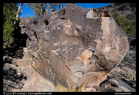 Boulder with petroglyphs, Big Arsenic. Rio Grande Del Norte National Monument, New Mexico, USA (color)