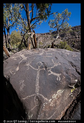 Boulder with large human figure petroglyphs. Rio Grande Del Norte National Monument, New Mexico, USA (color)