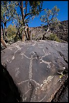 Boulder with large human figure petroglyphs. Rio Grande Del Norte National Monument, New Mexico, USA ( color)
