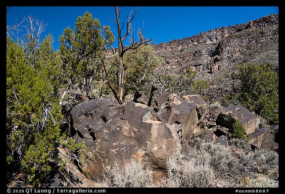 Boulder with petrogphys and canyon walls. Rio Grande Del Norte National Monument, New Mexico, USA (color)