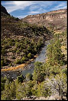 Rio Grande River and Big Arsenic Spring area. Rio Grande Del Norte National Monument, New Mexico, USA ( color)