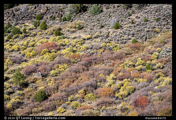 Shurbs with autumn colors from above. Rio Grande Del Norte National Monument, New Mexico, USA