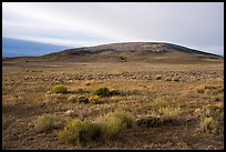 San Antonio Mountain rising above Pinabetal Mesa. Rio Grande Del Norte National Monument, New Mexico, USA ( color)