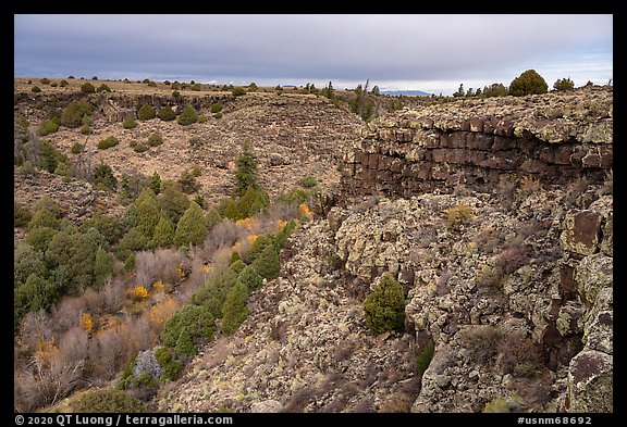 Rio San Antonio canyon. Rio Grande Del Norte National Monument, New Mexico, USA (color)