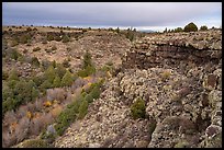 Rio San Antonio canyon. Rio Grande Del Norte National Monument, New Mexico, USA ( color)