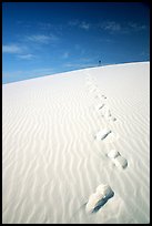 Footprints. White Sands National Park, New Mexico, USA.