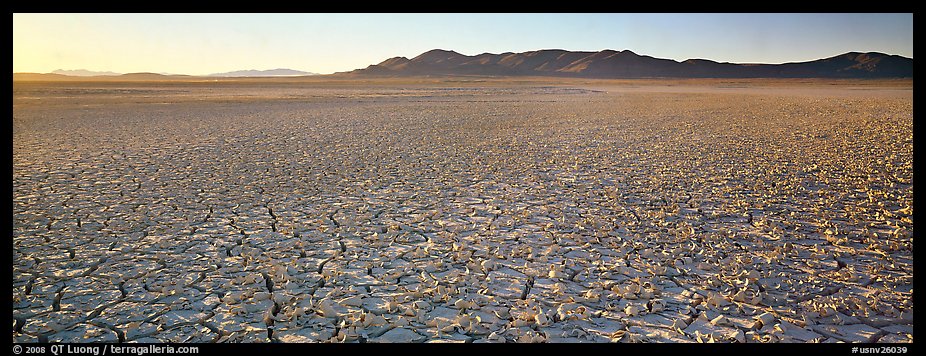 Dry lake bed landscape. Nevada, USA