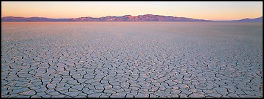 Desert landscape with cracked mud. Nevada, USA (Panoramic color)