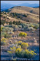 Sagebrush and hills, Virginia City, Nevada. Virginia City, Nevada, USA ( color)