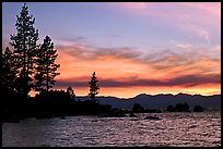 Shoreline with pine trees and rocks, Sand Harbor, East Shore, Lake Tahoe, Nevada. USA ( color)