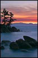 Boulders and trees, sunset, Sand Harbor, East Shore, Lake Tahoe, Nevada. USA ( color)