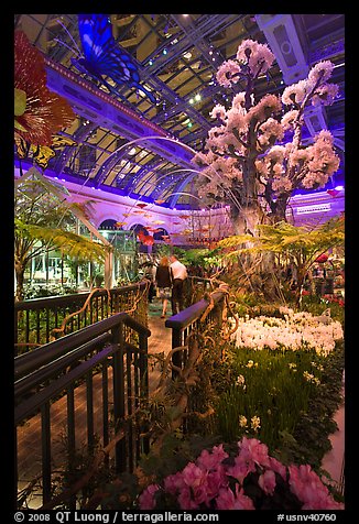 Botanical garden and conservatory with purple light, Bellagio Casino. Las Vegas, Nevada, USA
