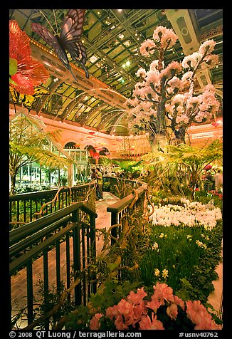 Botanical garden and conservatory with green light, Bellagio Casino. Las Vegas, Nevada, USA