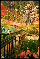 Botanical garden and conservatory with green light, Bellagio Casino. Las Vegas, Nevada, USA (color)