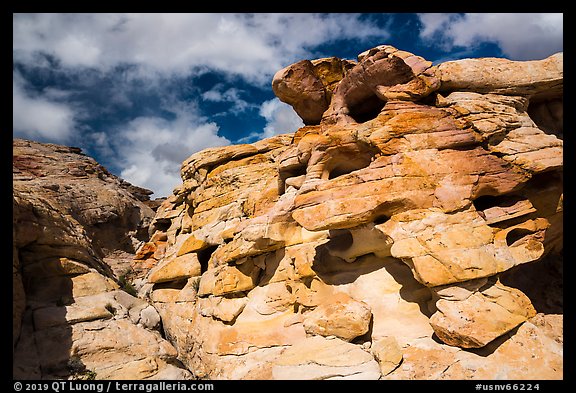 Rocks, Whitney Pocket. Gold Butte National Monument, Nevada, USA
