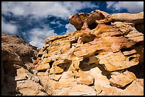 Rocks, Whitney Pocket. Gold Butte National Monument, Nevada, USA ( color)