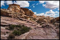 Whitney Pocket. Gold Butte National Monument, Nevada, USA ( color)