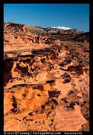 Mesa with eroded sandstone formations. Gold Butte National Monument, Nevada, USA