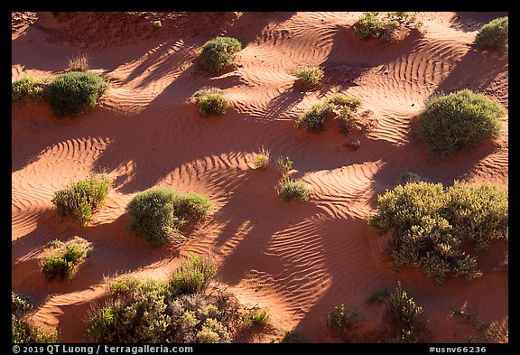 Dunes from above. Gold Butte National Monument, Nevada, USA (color)