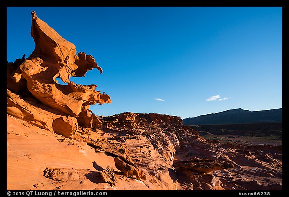 Hobgoblins Playground, afternoon. Gold Butte National Monument, Nevada, USA (color)