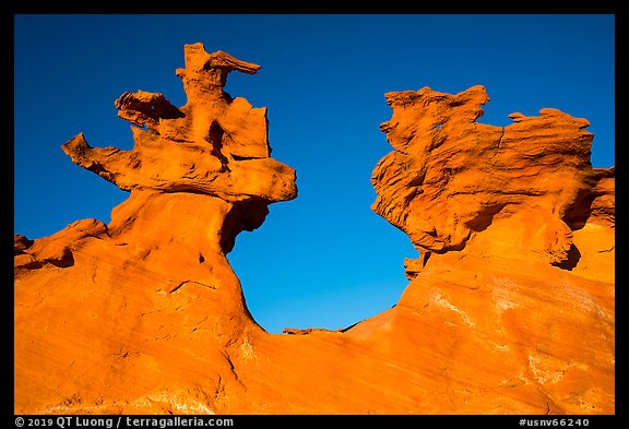 Thin fins of sandstone. Gold Butte National Monument, Nevada, USA (color)