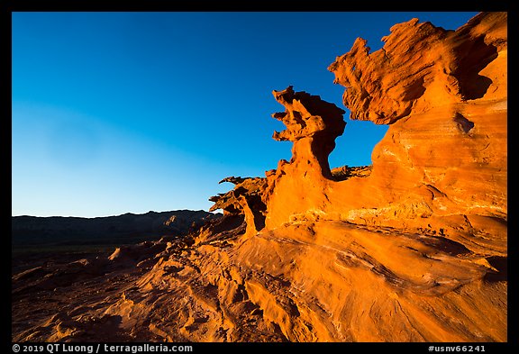 Devils Fire, late afternoon. Gold Butte National Monument, Nevada, USA