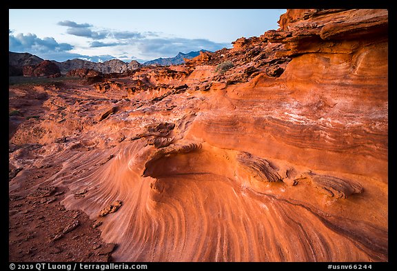 Fins and twirls at sunset, Little Finland. Gold Butte National Monument, Nevada, USA