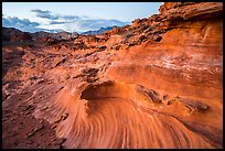 Fins and twirls at sunset, Little Finland. Gold Butte National Monument, Nevada, USA ( color)