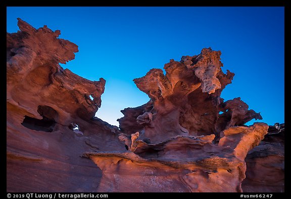 Strange red sandstone formations. Gold Butte National Monument, Nevada, USA
