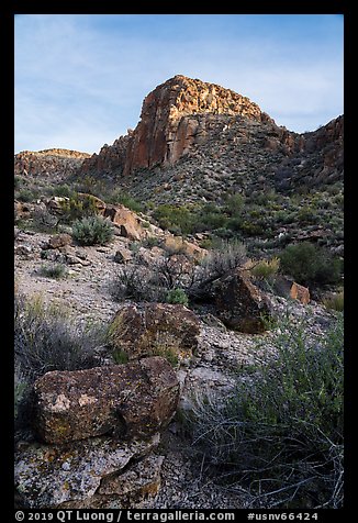 Lichen covered rocks and cliff, White River Narrows Archeological District. Basin And Range National Monument, Nevada, USA