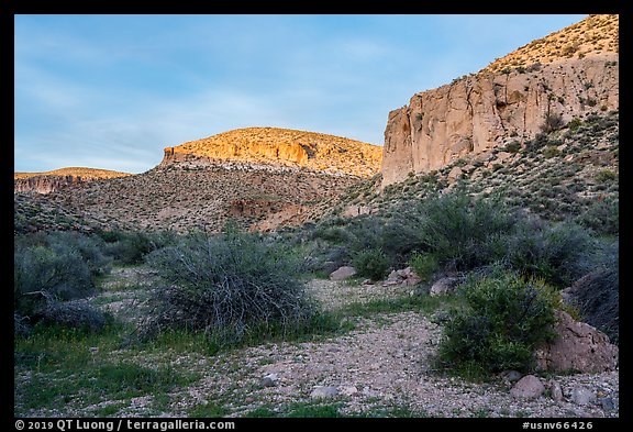 Cliffs at sunset, White River Narrows Archeological District. Basin And Range National Monument, Nevada, USA