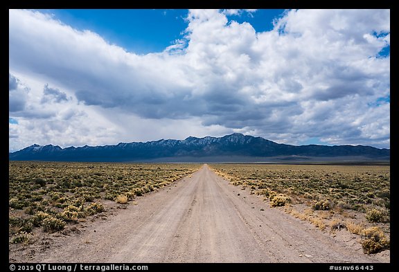 Gravel road. Basin And Range National Monument, Nevada, USA (color)