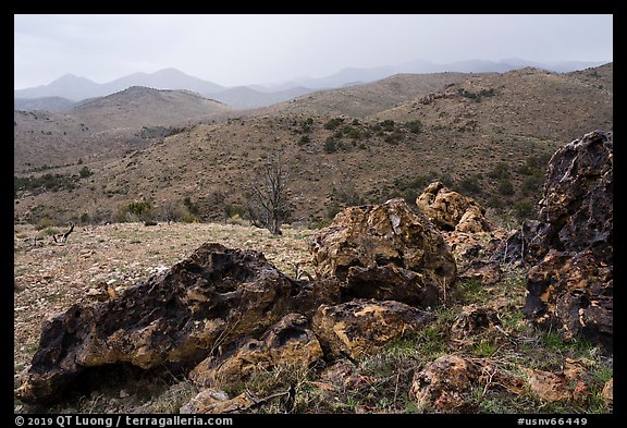 Volcanic rocks and Mt Irish range. Basin And Range National Monument, Nevada, USA