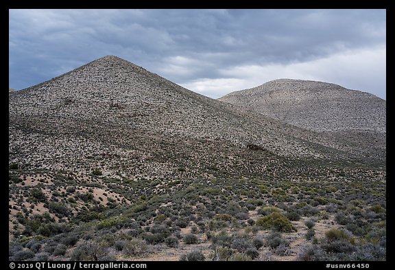 Treeless hills. Basin And Range National Monument, Nevada, USA (color)