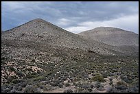 Treeless hills. Basin And Range National Monument, Nevada, USA ( color)