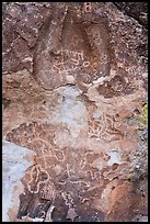 Petroglyphs, Mt Irish Archeological district. Basin And Range National Monument, Nevada, USA ( color)