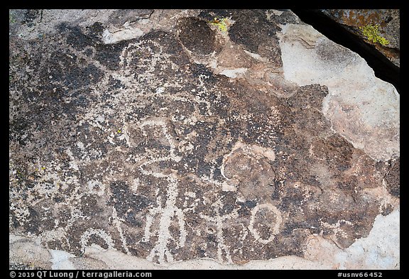 Rock art, Mt Irish Archeological district. Basin And Range National Monument, Nevada, USA