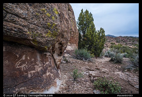 Volcanic boulders with rock art, Mt Irish Archeological district. Basin And Range National Monument, Nevada, USA (color)