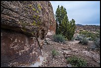 Volcanic boulders with rock art, Mt Irish Archeological district. Basin And Range National Monument, Nevada, USA ( color)