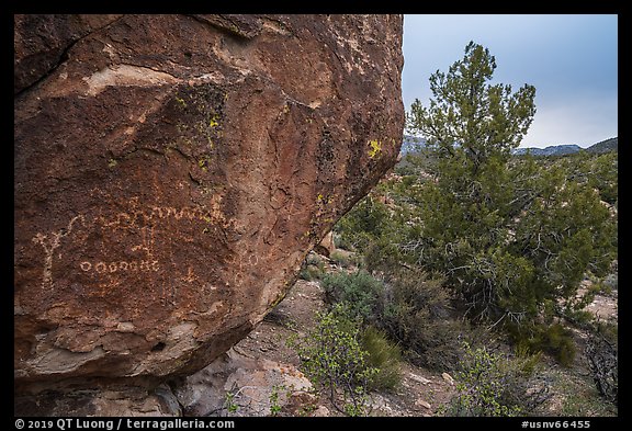 Volcanic boulder with rock art, Mt Irish. Basin And Range National Monument, Nevada, USA