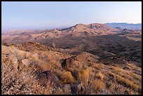 Tramp Ridge and Paradise Valley at dawn. Gold Butte National Monument, Nevada, USA ( color)