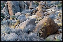 Boulders. Gold Butte National Monument, Nevada, USA ( color)
