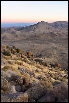 Tramp Ridge at sunrise. Gold Butte National Monument, Nevada, USA ( color)