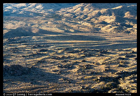 Cedar Basin, early morning. Gold Butte National Monument, Nevada, USA